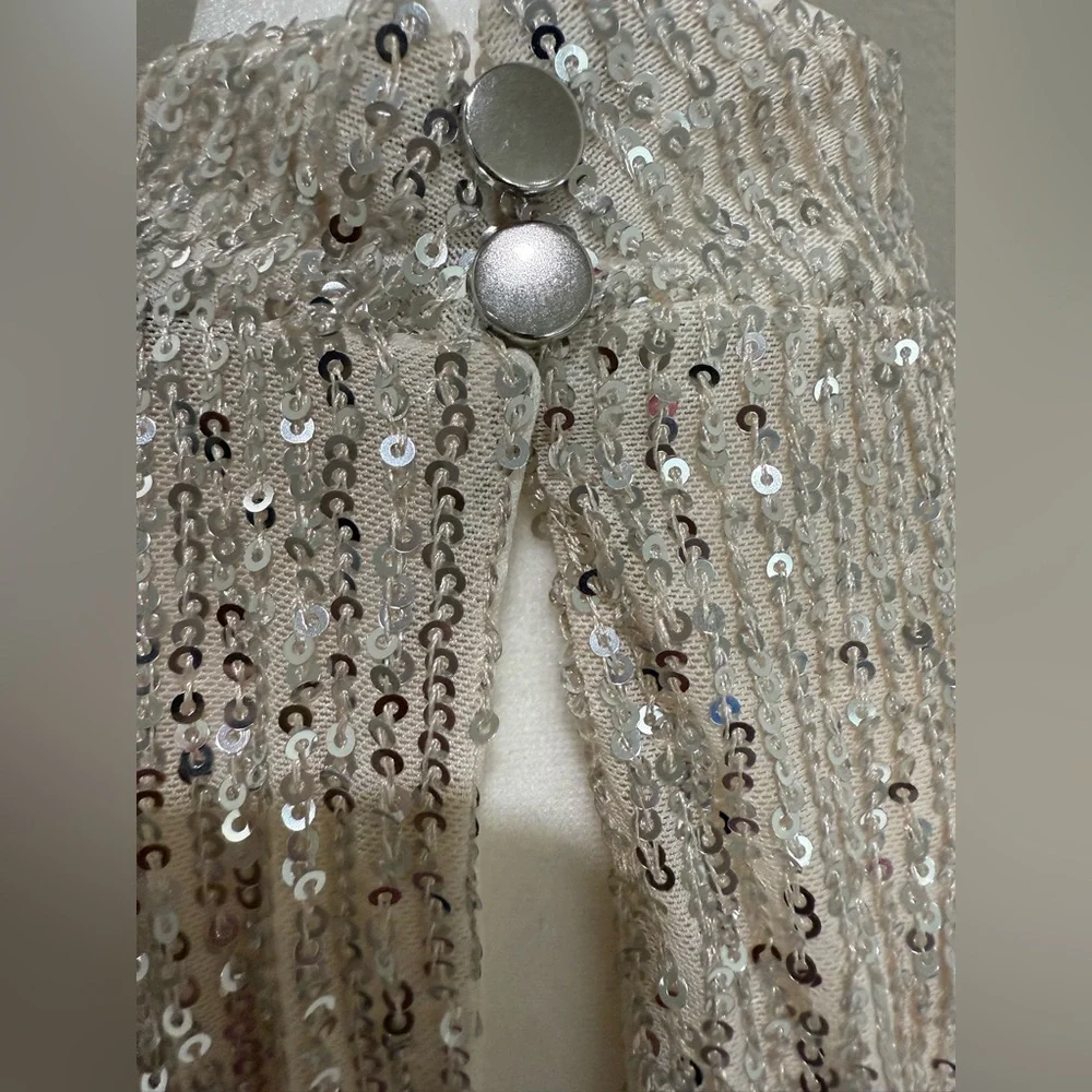 Halogen Sequins Silver Dress with Cream Lining, XL - Picture 8 of 11